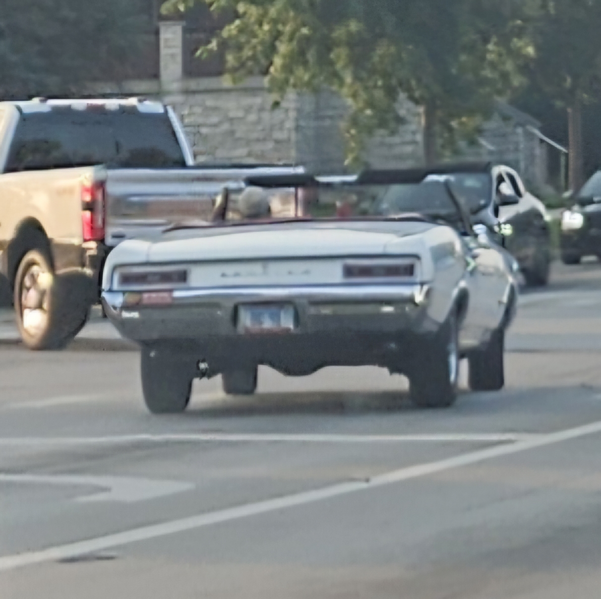 20260804_190226.jpg